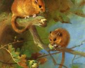 Dormice - 阿奇博尔德·索伯恩